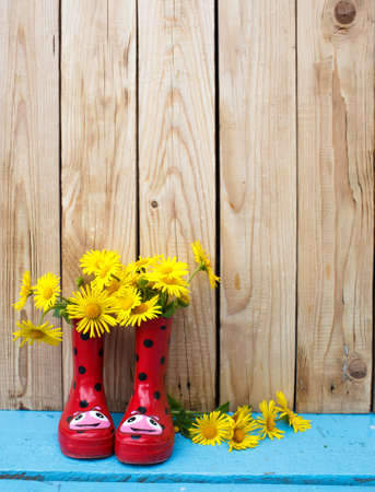 Gardening tools, watering, seeds, plants and soil. Potted flowers on wooden background.の写真素材