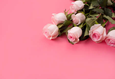 Flat lay frame border with empty copy space mock up of pink rose buds on pink background. Top view floral conceptの写真素材