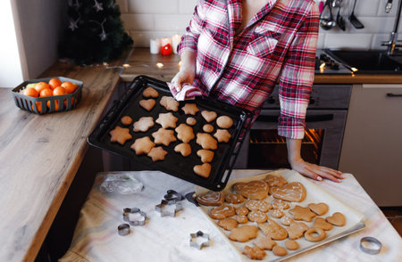 A young girl in a plaid shirt decorates ginger cookies with icing in the kitchen. Preparing for the New yearの写真素材