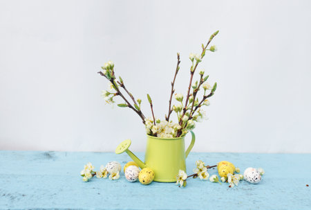 branches of a tree with white flowers in a vase of light green color, colored quail eggs on a light blue background. Spring Easter song.の写真素材