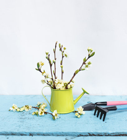 Garden tools in a vase with spring flowers on a light background.の写真素材