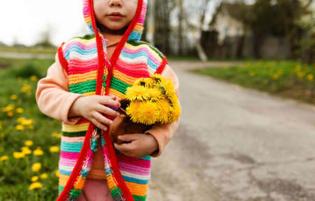 a little girl in a bright multicolored jacket stands on the street with a bouquet of yellow dandelionsの写真素材