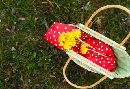 On the green grass is a wicker bag with a red jacket and yellow dandelions. Top view.の写真素材