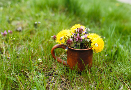 a clay cup with a bouquet of bright spring flowers stands on a green lawn. Close-upの写真素材