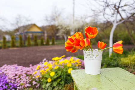 orange tulips in a vase on the table against the background of nature.の写真素材