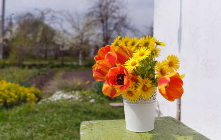 a bouquet of spring flowers in a white vase on the background of the gardenの写真素材