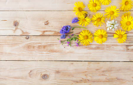 yellow spring flowers are laid out on a wooden background. Top view.の写真素材