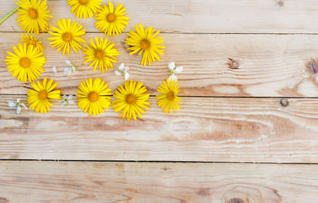 yellow spring flowers are laid out on a wooden background. Top view.の写真素材