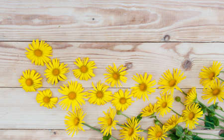 yellow spring flowers are laid out on a wooden background. Top view.の写真素材