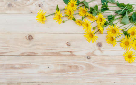 yellow spring flowers are laid out on a wooden background. Top view.の写真素材