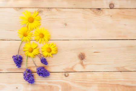 yellow spring flowers are laid out on a wooden background. Top view.の写真素材