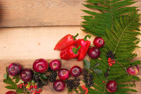 Red large apples, peppers and ferns on a wooden background. Autumn still life.の写真素材