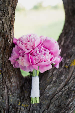 a large bouquet of pink peonies lies on the trunk of a treeの写真素材