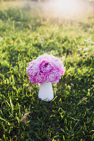 a large bouquet of pink peonies stands in a white vase on the grass.の写真素材