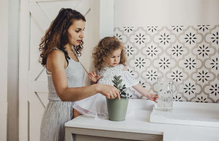 a young mother and a little daughter with curly hair takes care of plantsの写真素材