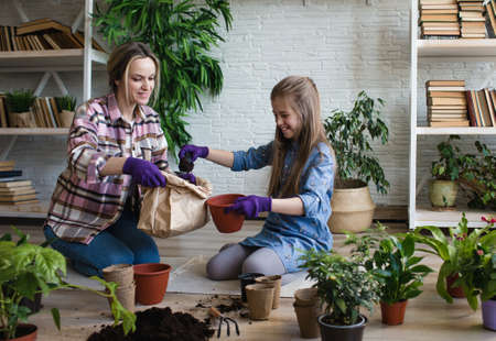 A young mother and daughter take care of flowers while sitting on the floor at home. Care of indoor plants. Replacing the earth in pots with flowers.の写真素材