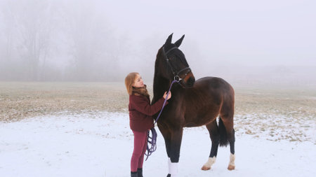 A young girl and a horse stand and look into the distance in the fogの写真素材