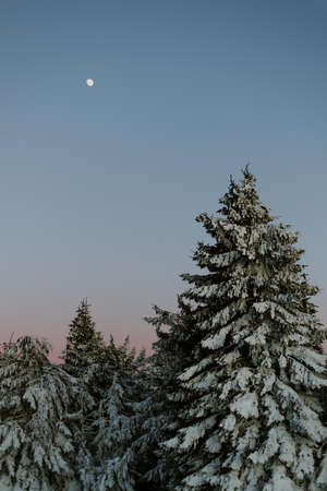 Sunset in the snowy mountains with pink skyand moonの写真素材