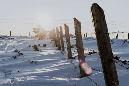 Landscape with fence in the snowの写真素材