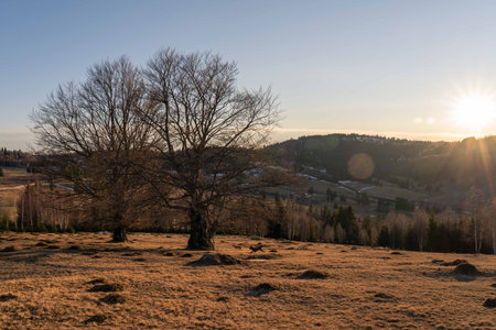 Landscape with two trees