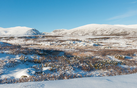 Winter landscape in National Park Dovrefjell in Norway.の写真素材