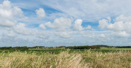 Typical landscpae of the dutch island Texel with meadows, farms and forest..