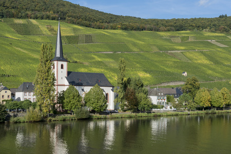 The wine village of Piesporter at the Mossele in Germany in autumn.の写真素材