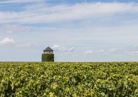 Tower in vinyard near Saint-Seurin-de-Cardourne Medoc Franceの写真素材
