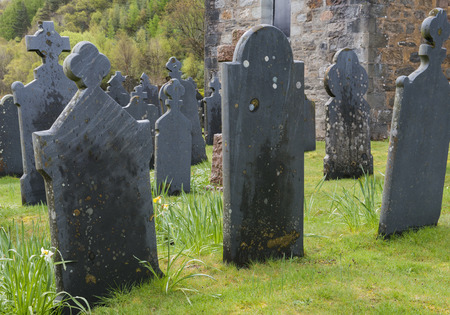 Graveyard Ballachulish black with old gravestones on grass in spring.の写真素材