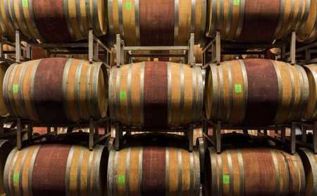Alba, Italy - May 30, 2016: Cellar with barrels of wine of Ceretto Winery, Piedmont, Italy in Alba...