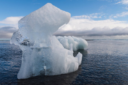Ice block on beach and Artic Terns near river Jokulsa at Jokulsarlon glacier lagoon in the...
