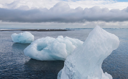 Three Ice blocks on beach and Artic Terns near river Jokulsa at Jokulsarlon glacier lagoon in the...