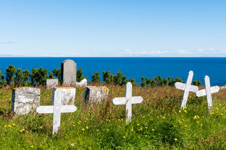 Graveyard with white crosses and gravestones in a meadow with flowers and in the background the ocean on Iceland.の写真素材