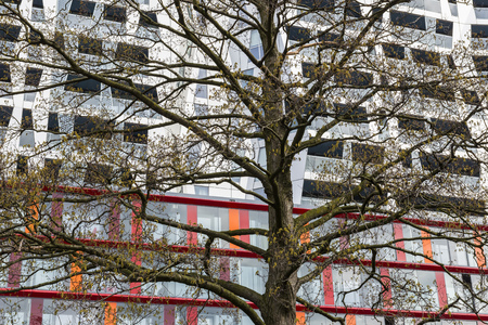 Rotterdam, The Netherlands - March 10, 2017: Calypso Achitectural Building with a tree in front in Rotterdam city, the Netherlands.のeditorial素材