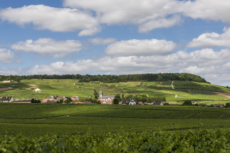 Avize, France - June 12, 2017: The small Champagne village Avize/Oger near Epernay with vineyards and hills on a summers day in France.のeditorial素材