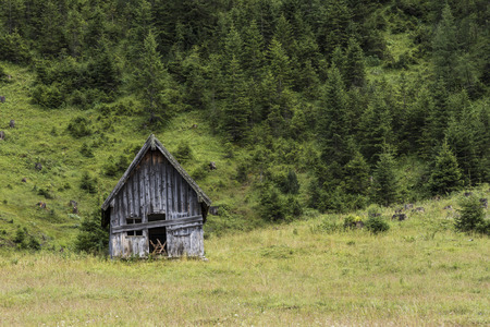 Old abandoned wooden cabin in Kelmen, Austria, in a meadow and a forest in the background.の写真素材
