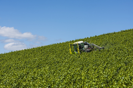 Epernay, France - June 12, 2017: Tractor spraying vines in a vineyard near the Champagne village Epernay Champagne district, France.のeditorial素材
