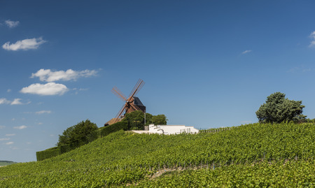 Verzenay, France - June 10, 2017: Vineyards in Verzenay with the moulin of Mumm, Champagne House in France.のeditorial素材
