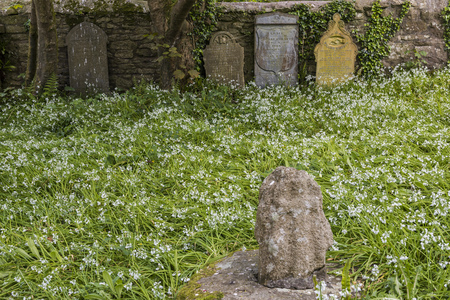 Pendeen, England - April 26, 2017: Cemetery with gravestone in Pendeen, Cornwall, England.のeditorial素材