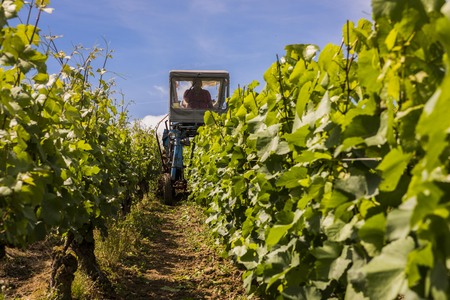 Dormans, France - June 8, 2017: Machinery for the vineyards at Dormans in Champagne district, France.のeditorial素材