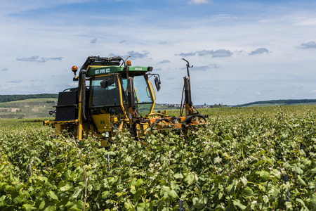 Champagne, France - June 8, 2017: Wine farmer with machinery for the vineyards in Champagne district, France.のeditorial素材