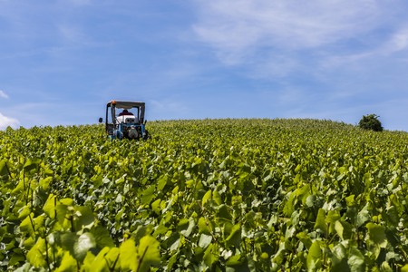 Dormans, France - June 8, 2017: Machinery for the vineyards at Dormans in Champagne district, France.のeditorial素材