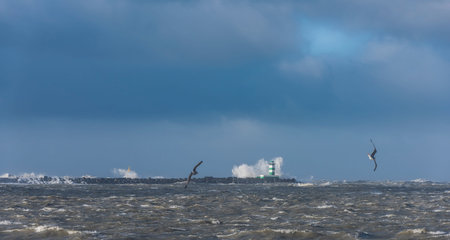 Storm at the North Sea at the Zuidpier at IJmuiden in Noord-Holland.の写真素材