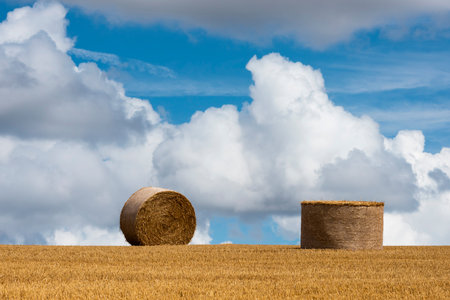 Straw bales composition on an agricultural grain field in the Morvan, France.
