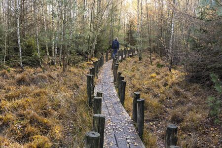Dwingelderveld, Netherlands - November 11, 2018: Small path with hiker in autumn in National Park Dwingelderveld in the province of Drenthe, The Netherlands.のeditorial素材