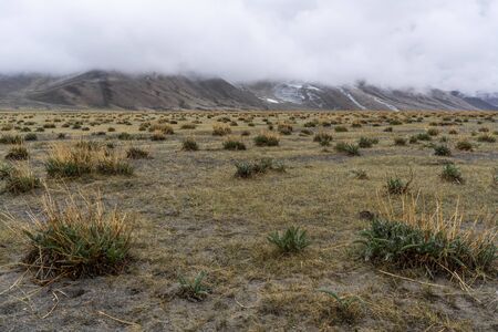 Rain on a field at the Pamir Highway in Tajikistan near Alichur and Murghab with dark clouds.の写真素材