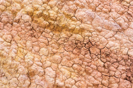 Fairytale canyon at the Issyk kul Lake in Kyrgyzstan with yellow ground and orange earth.の写真素材