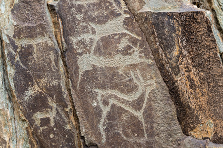 Prehistoric petroglyphs of deer in Kalbak Tash in Russia.