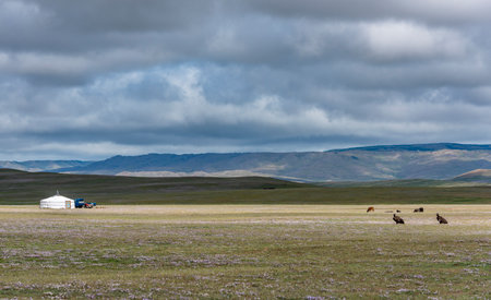Tsetserleg, Mongoliam - August 11, 2019: Mongolian Yurt in the steppe with dark clouds and sky and two vultures in the foreground on the grass.のeditorial素材