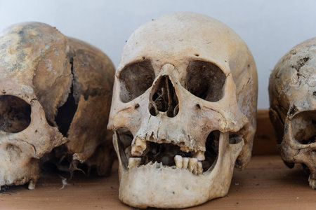 Baikal, Russia - September 4, 2019: Human skull on a shelf in Spaso-Preobrazhensky Monastery Posolskoyea in Siberia in Russiaのeditorial素材
